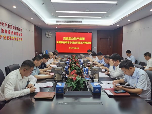 安徽尊龙凯时地产集团召开学习贯彻习近平新时代中国特色社会主义头脑主题教育向导小组聚会暨事情推进会